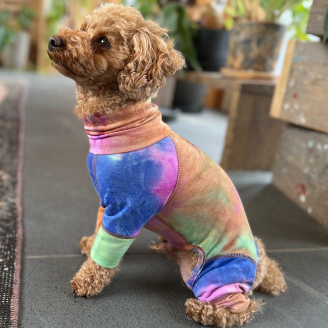 全商品 | paw's living