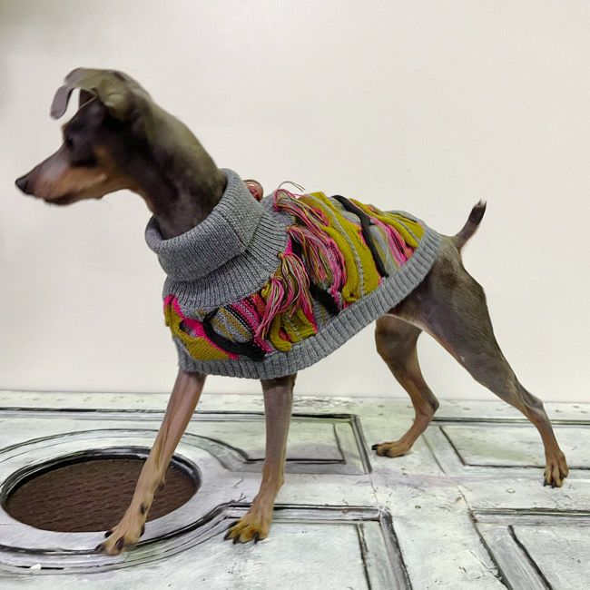 全商品 | paw's living