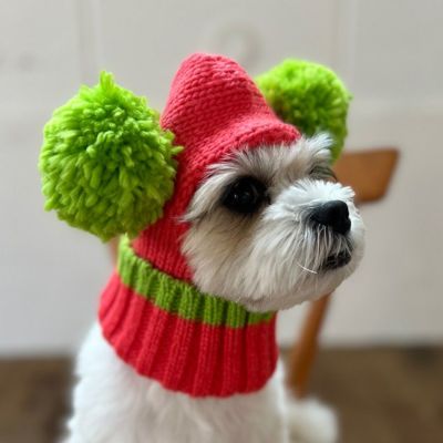 全商品 | paw's living