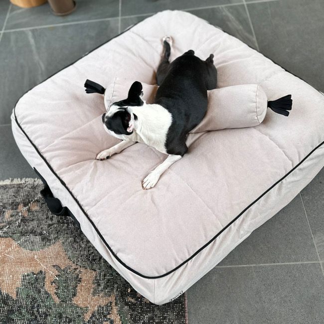 全商品 | paw's living