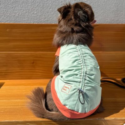 全商品 | paw's living