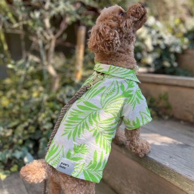 割引購入 paw's living | paw's living 小物