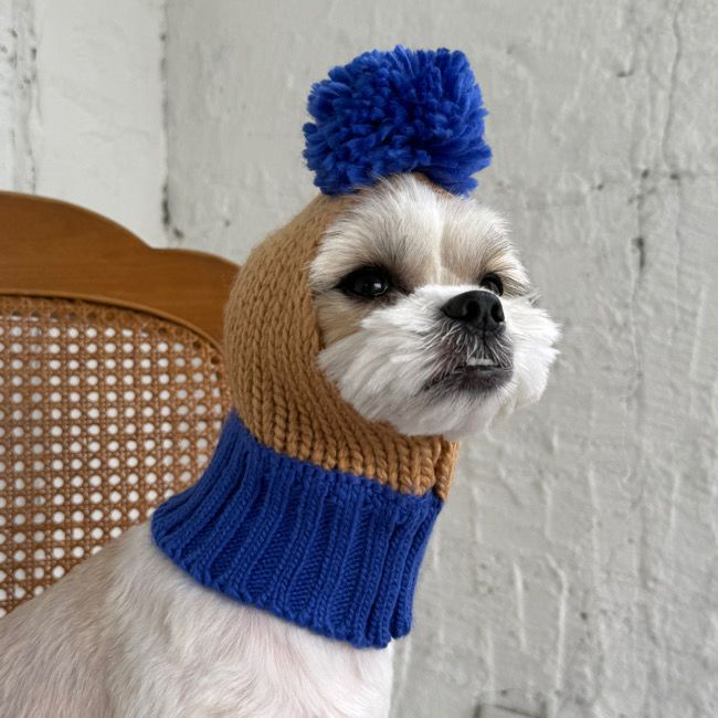 全商品 | paw's living