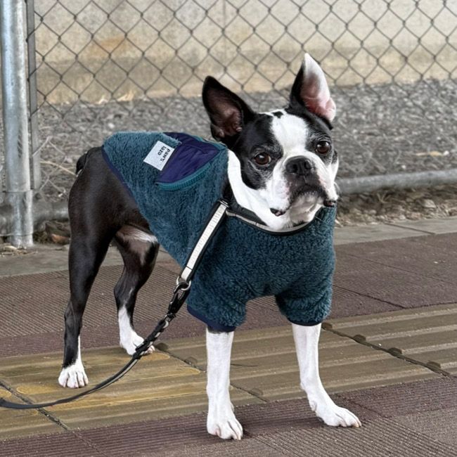 全商品 | paw's living